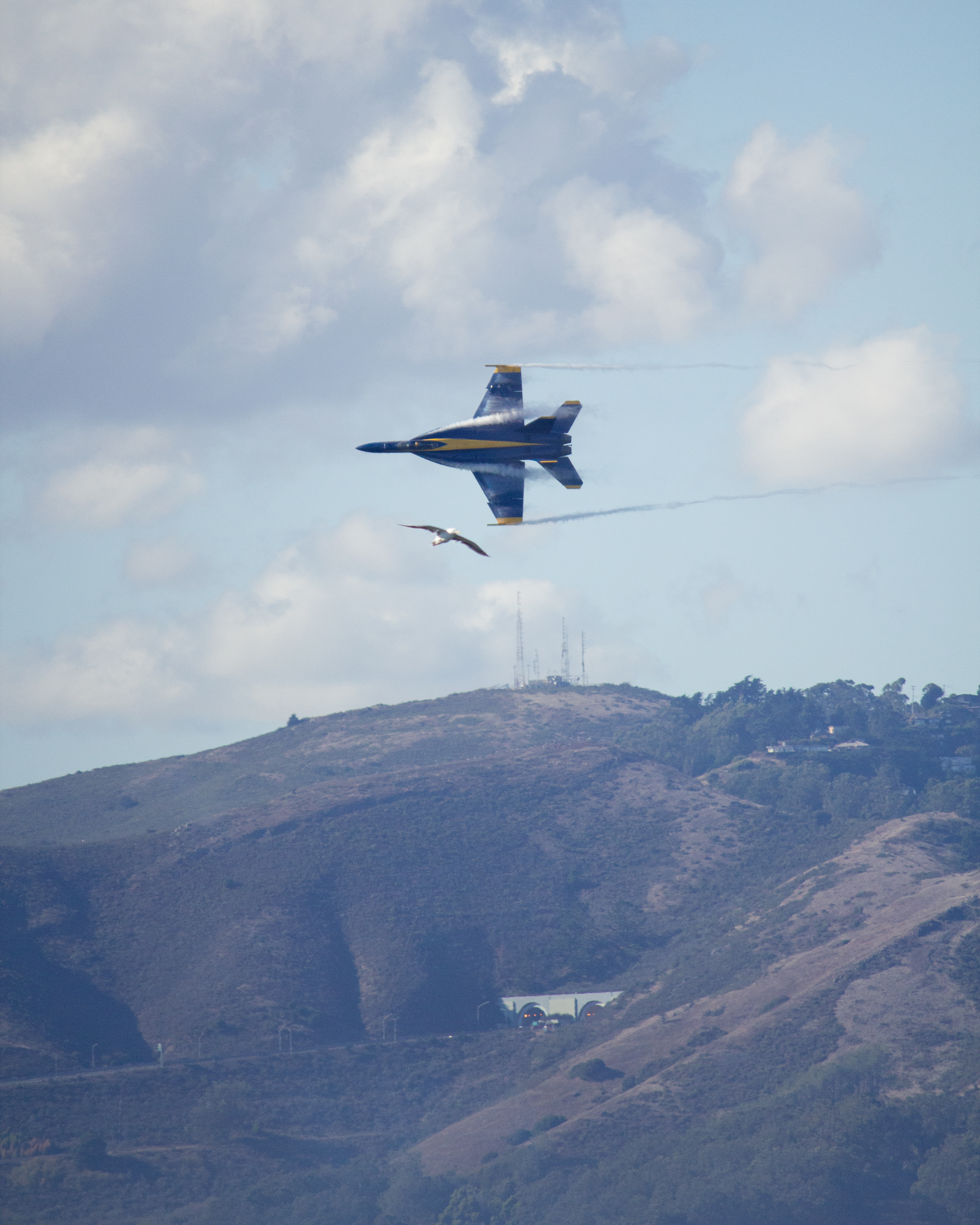 Fleet Week 2024