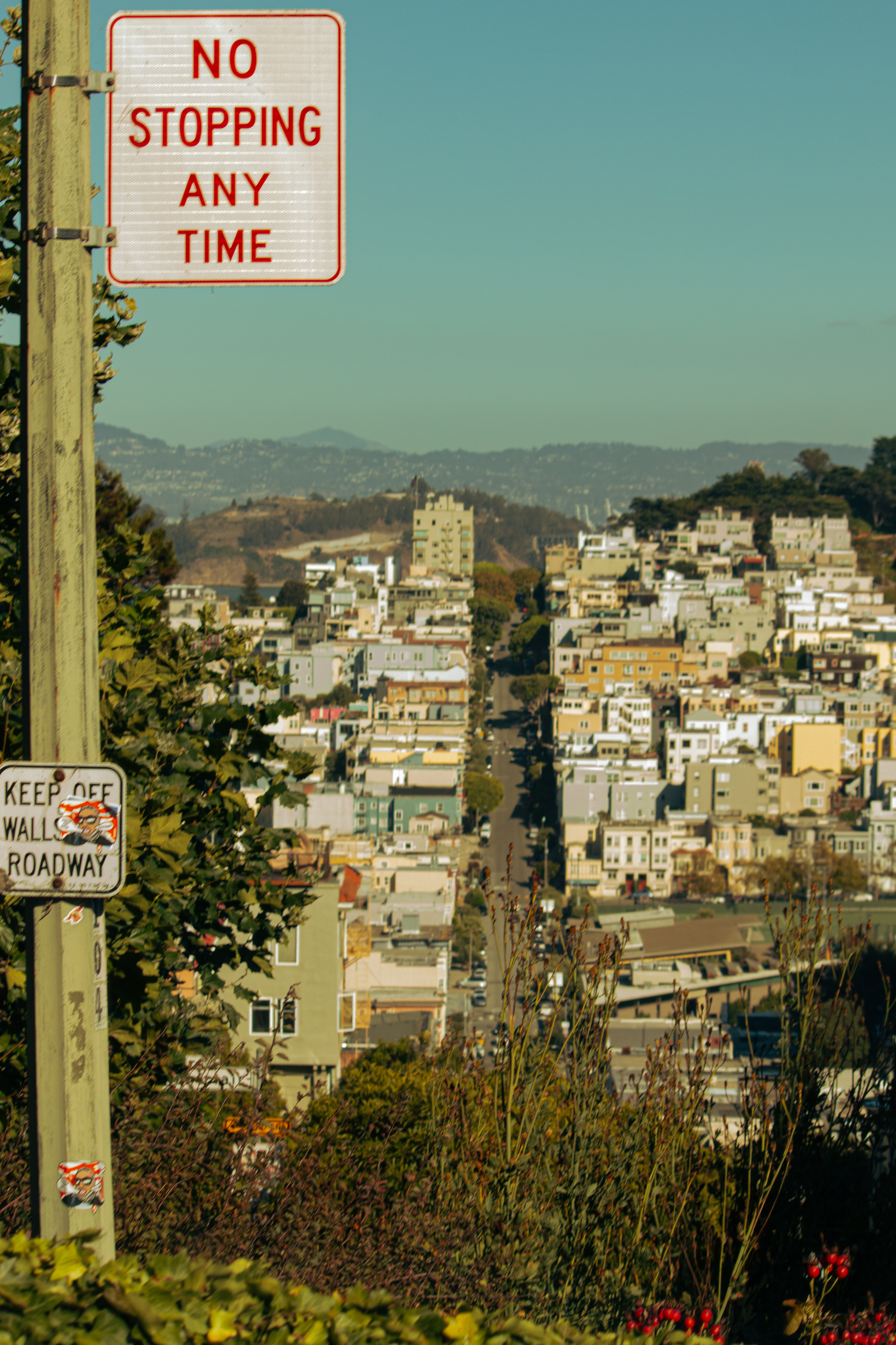 San Francisco #1